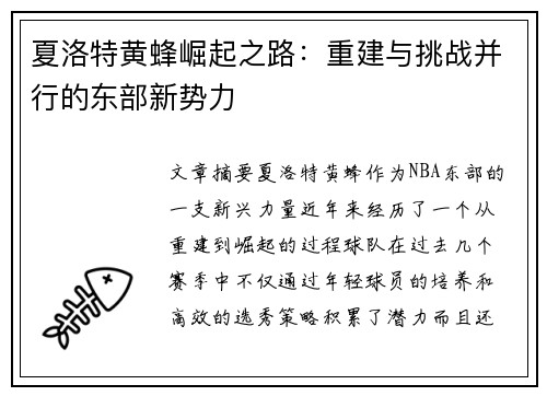 夏洛特黄蜂崛起之路：重建与挑战并行的东部新势力