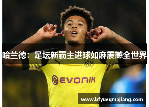 哈兰德：足坛新霸主进球如麻震撼全世界