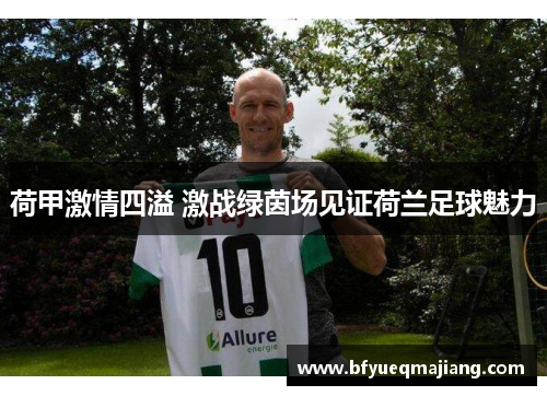 荷甲激情四溢 激战绿茵场见证荷兰足球魅力